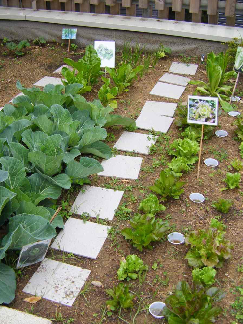 hort3